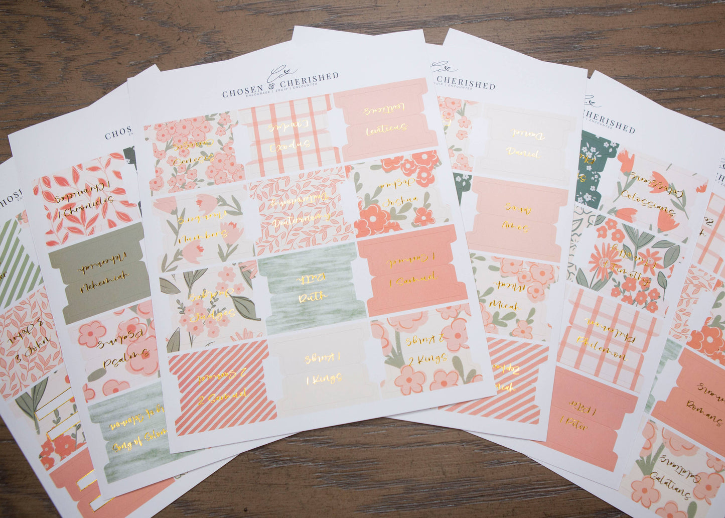 Chosen & Cherished - Pretty Peach Bible Book Tabs