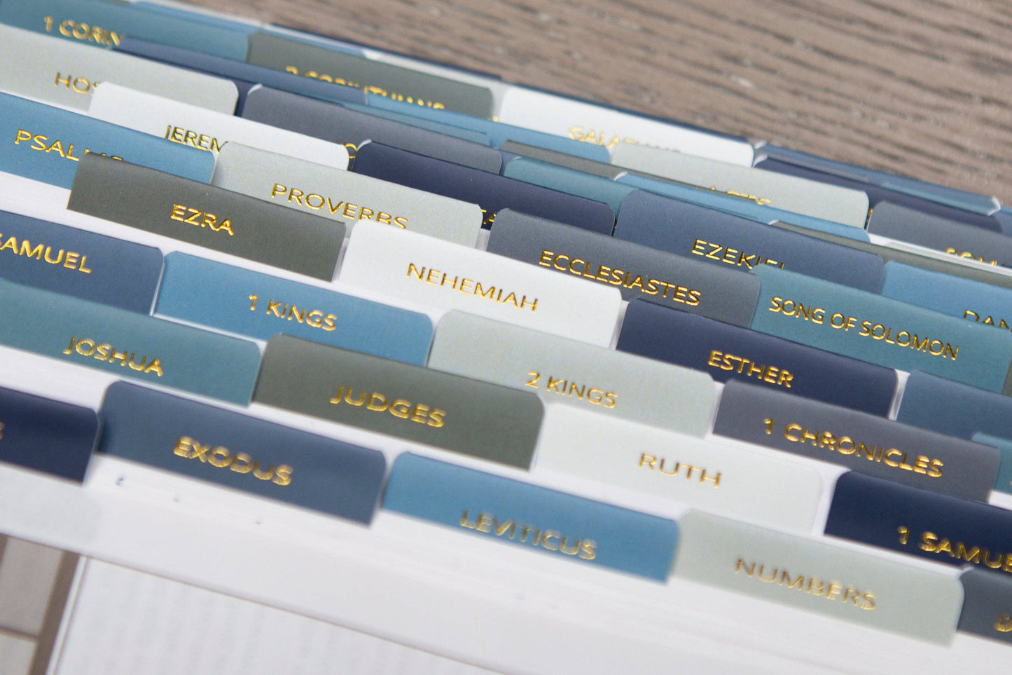 Chosen & Cherished - Mens Bible Tabs | Earth tone Bible Tabs