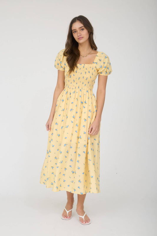 Sunny Town Strolls Dress