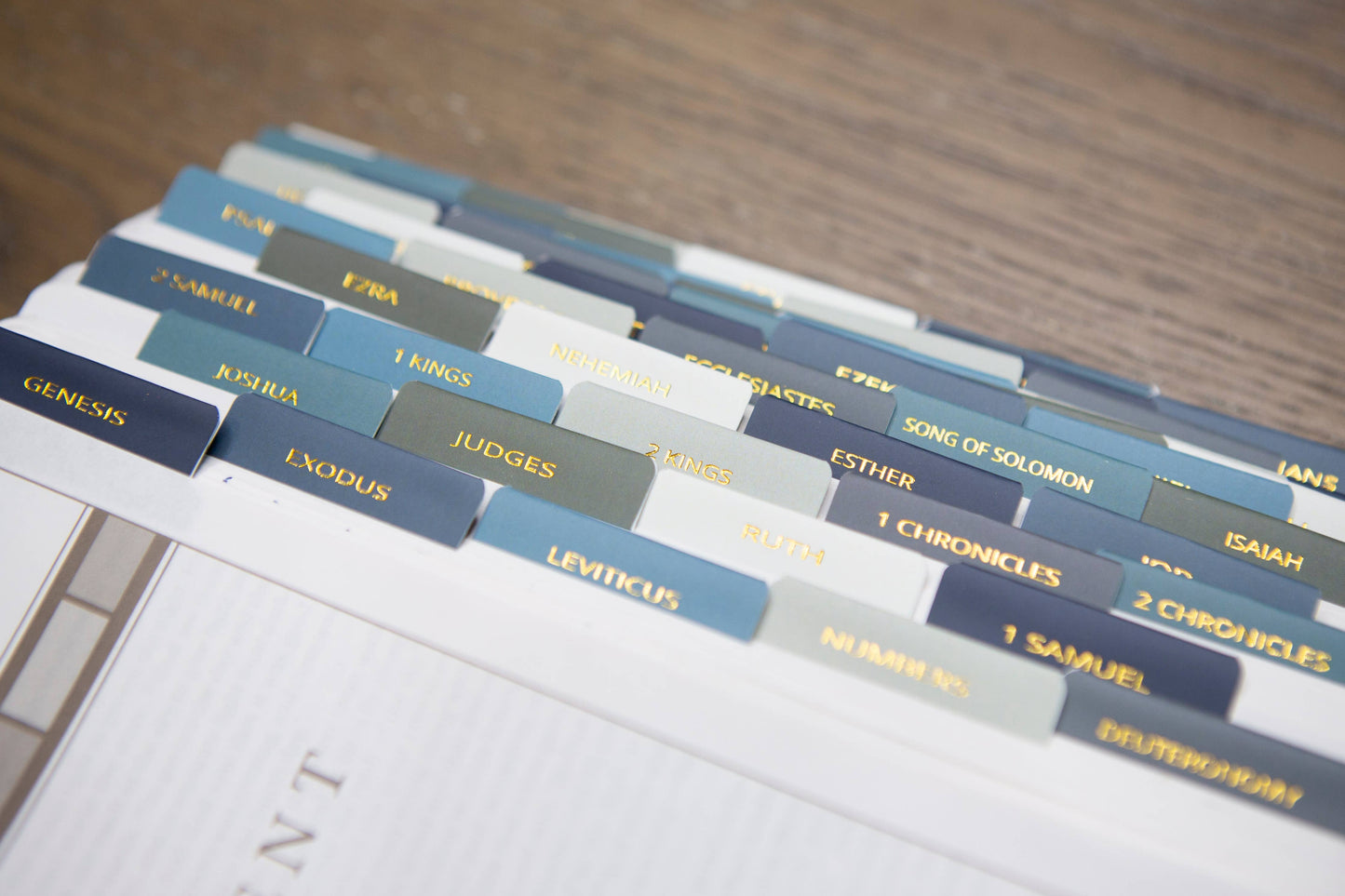 Chosen & Cherished - Mens Bible Tabs | Earth tone Bible Tabs