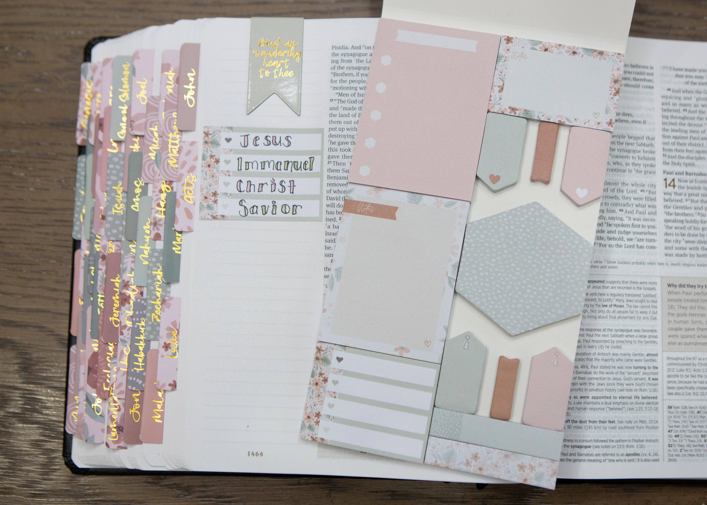 Chosen & Cherished - Selah Bible Study Sticky Notes | Post It Notes for Bible