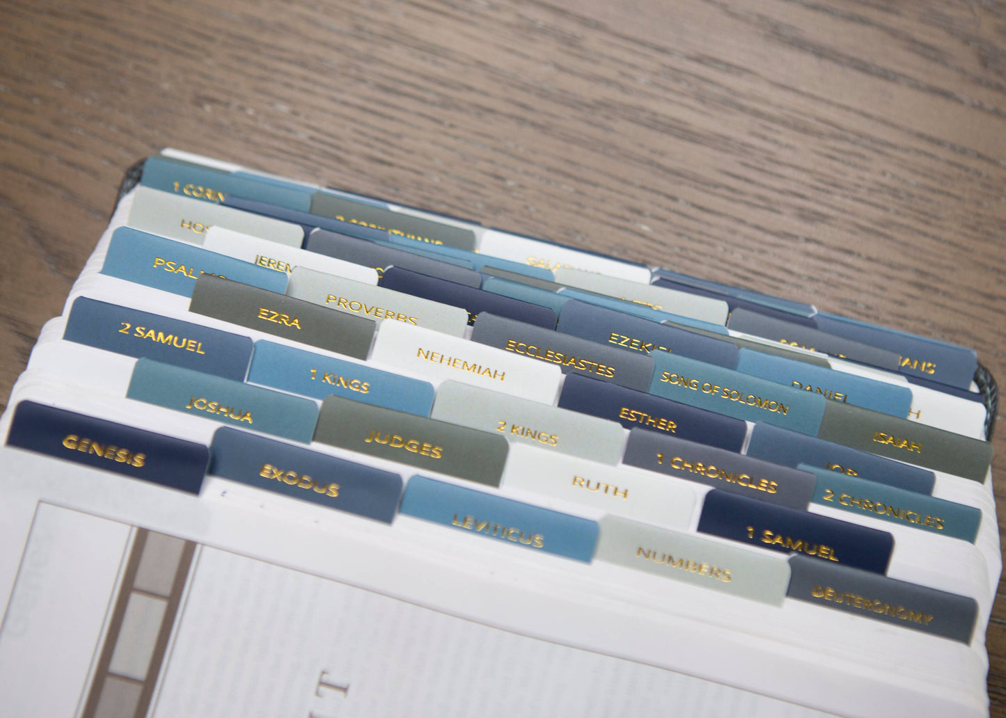Chosen & Cherished - Mens Bible Tabs | Earth tone Bible Tabs
