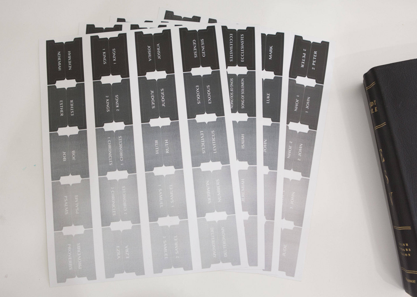 Chosen & Cherished - Bible Tabs | Bible Index Tabs for Men