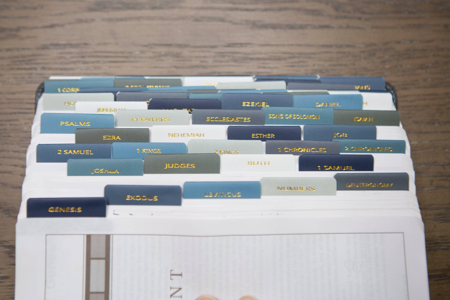 Chosen & Cherished - Mens Bible Tabs | Earth tone Bible Tabs
