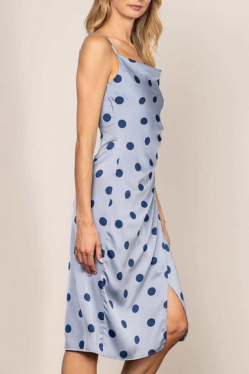 Ariella Polka Dot Dress