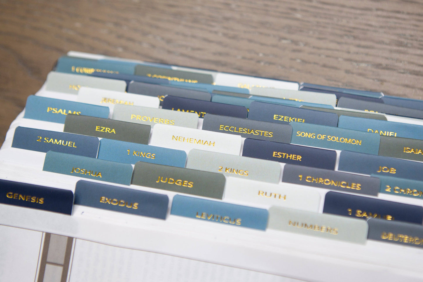 Chosen & Cherished - Mens Bible Tabs | Earth tone Bible Tabs